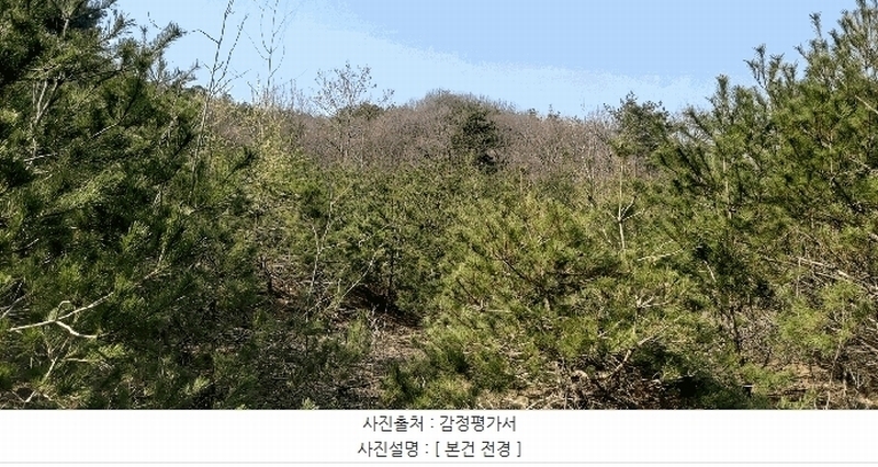 2025타경1613 충청북도 진천군 광혜원면 실원리 409-2 임야 경매 이미지