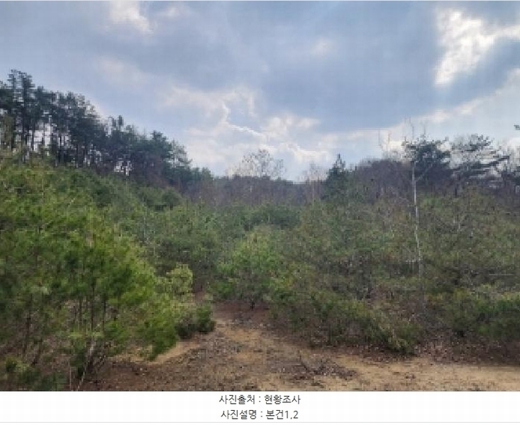 2025타경1613 충청북도 진천군 광혜원면 실원리 409-2 임야 경매 이미지