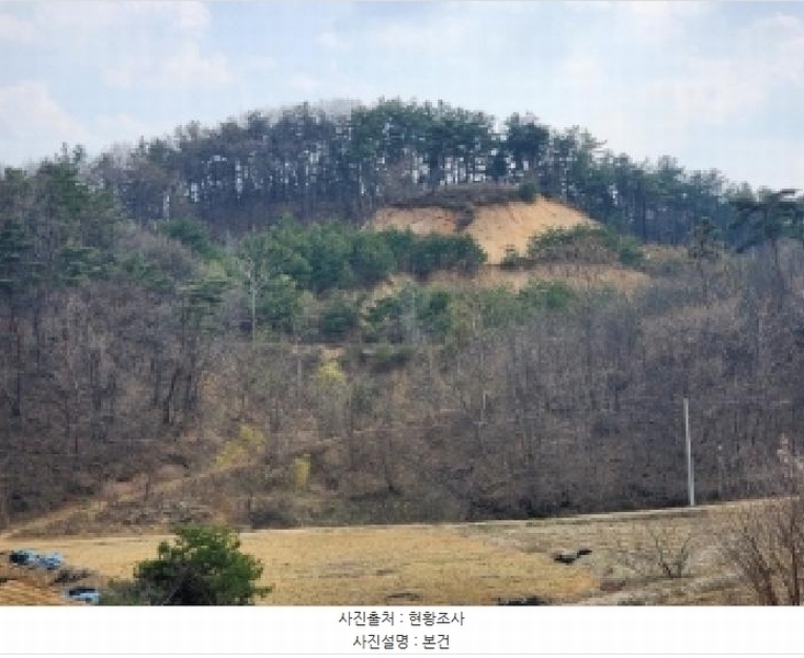 2025타경1613 충청북도 진천군 광혜원면 실원리 409-2 임야 경매 이미지