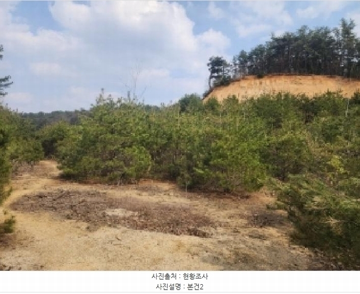 2025타경1613 충청북도 진천군 광혜원면 실원리 409-2 임야 경매 이미지