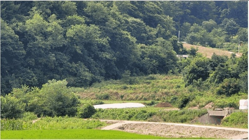 2025타경3411 충청북도 진천군 백곡면 용덕리 325-1 농지 경매 이미지