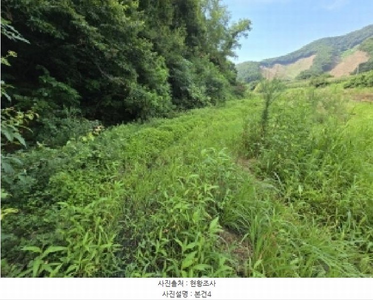 2025타경3411 충청북도 진천군 백곡면 용덕리 325-1 농지 경매 이미지