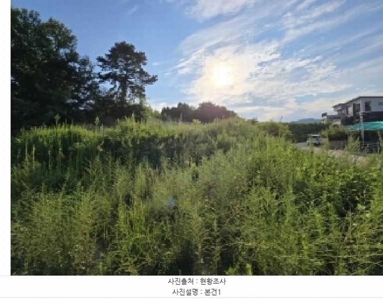 2025타경3473 충청북도 청주시 청원구 오창읍 가곡리 274-36 임야 경매 이미지