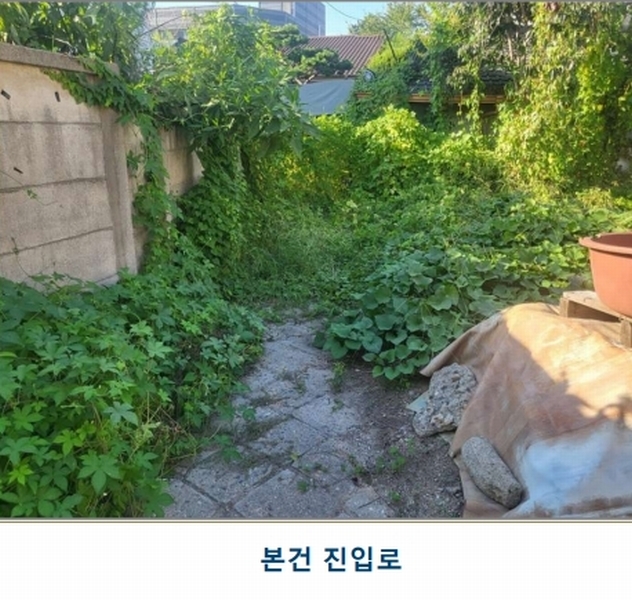 2025타경4506 충청북도 청주시 상당구 남주동 595-19 대지 경매 이미지