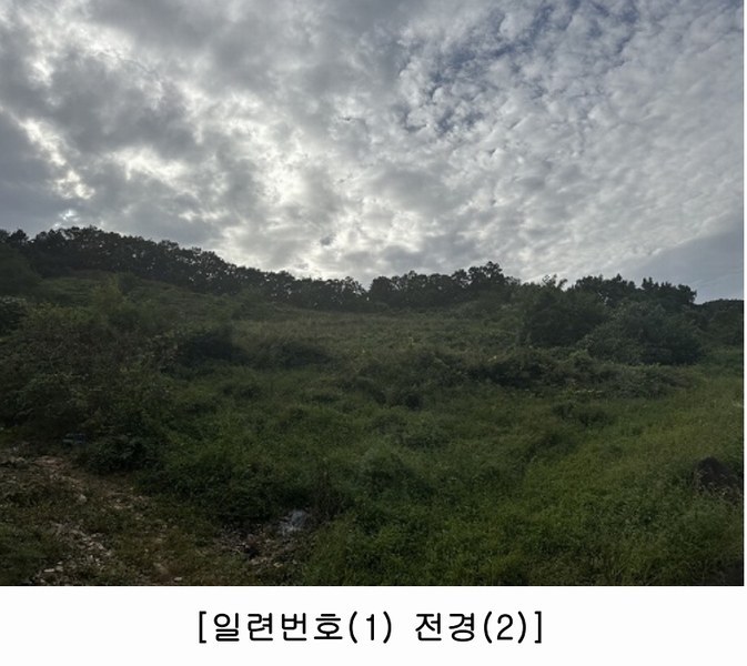2025타경4513 충청북도 괴산군 괴산읍 신기리 산18-1 임야 경매 이미지