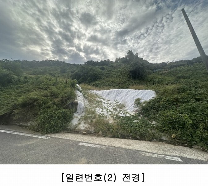 2025타경4513 충청북도 괴산군 괴산읍 신기리 산18-1 임야 경매 이미지
