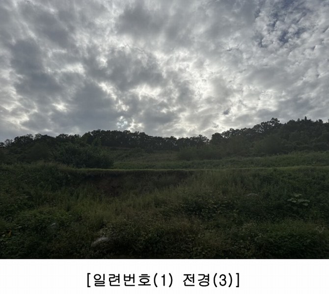 2025타경4513 충청북도 괴산군 괴산읍 신기리 산18-1 임야 경매 이미지