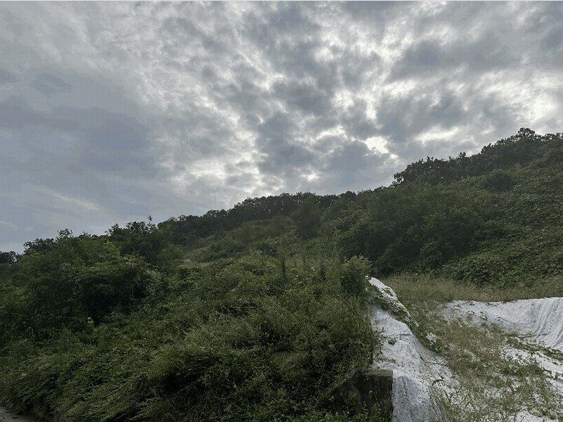 2025타경4513 충청북도 괴산군 괴산읍 신기리 산18-1 임야 경매 이미지
