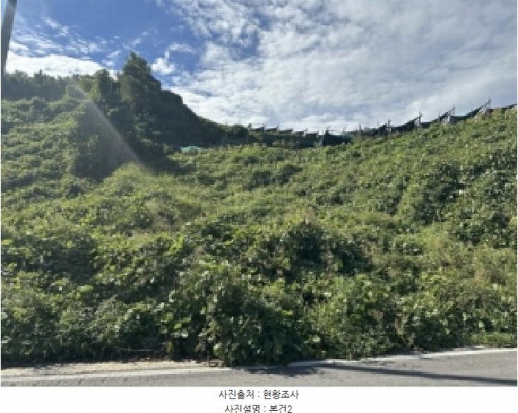2025타경4513 충청북도 괴산군 괴산읍 신기리 산18-1 임야 경매 이미지