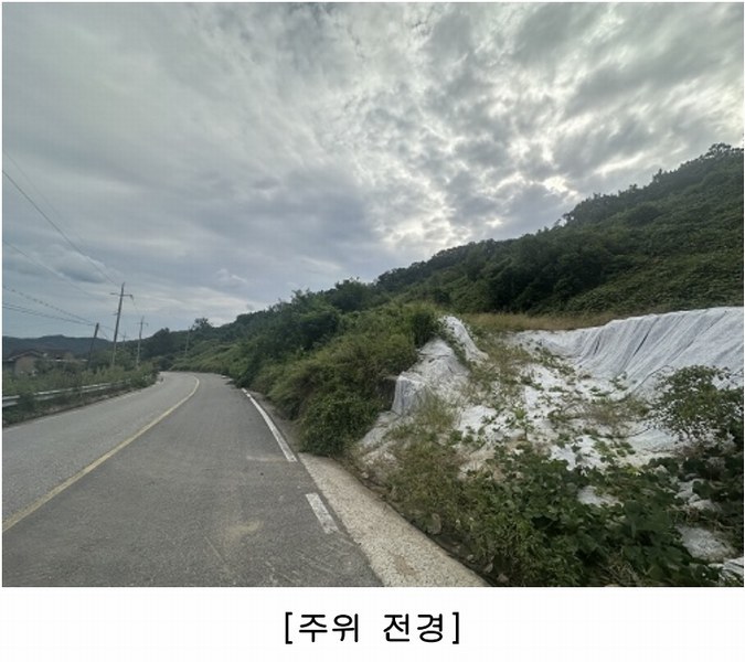 2025타경4513 충청북도 괴산군 괴산읍 신기리 산18-1 임야 경매 이미지