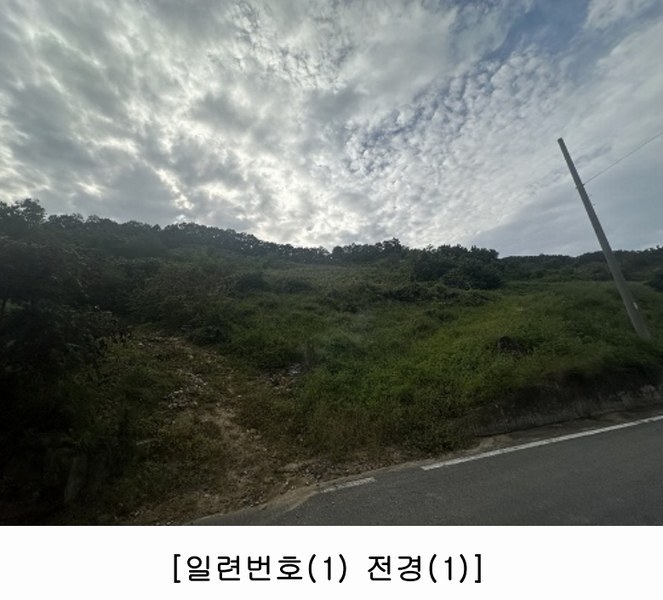 2025타경4513 충청북도 괴산군 괴산읍 신기리 산18-1 임야 경매 이미지