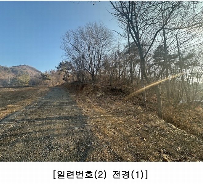 2025타경50141 충청북도 청주시 상당구 가덕면 금거리 산2 임야 경매 이미지