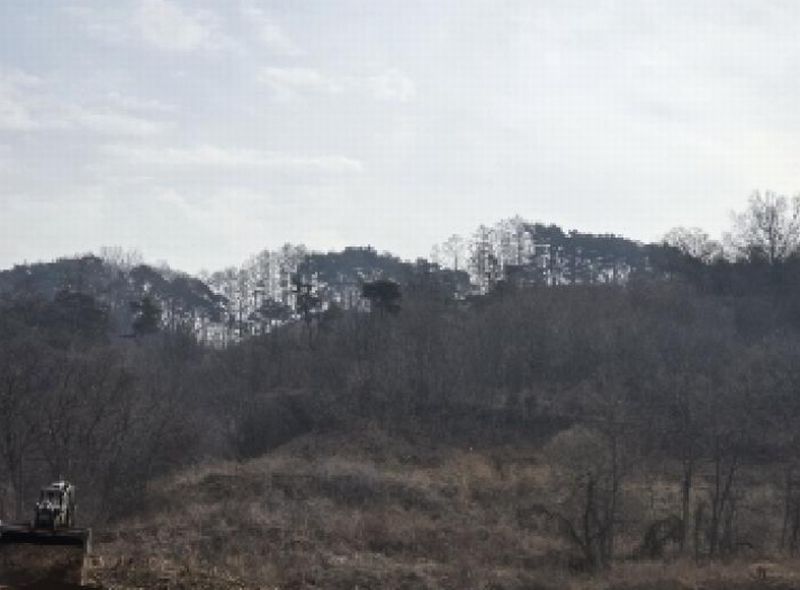 2025타경50141 충청북도 청주시 상당구 가덕면 금거리 산2 임야 경매 이미지