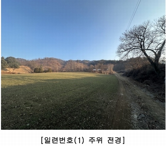 2025타경50141 충청북도 청주시 상당구 가덕면 금거리 산2 임야 경매 이미지