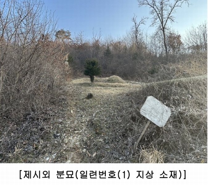 2025타경50141 충청북도 청주시 상당구 가덕면 금거리 산2 임야 경매 이미지