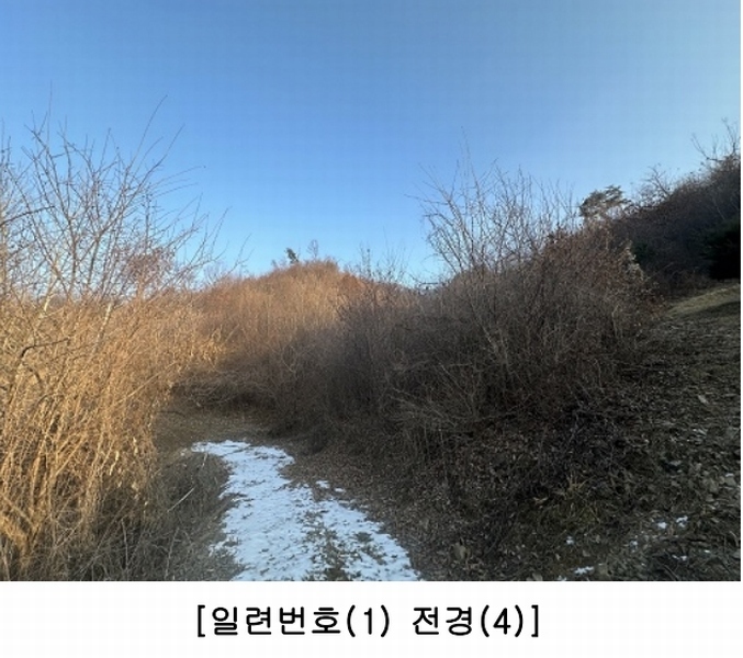 2025타경50141 충청북도 청주시 상당구 가덕면 금거리 산2 임야 경매 이미지