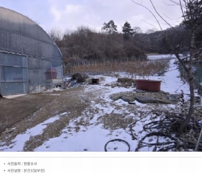 2025타경50141 충청북도 청주시 상당구 가덕면 금거리 산2 임야 경매 이미지