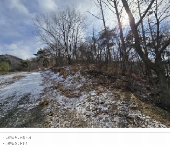2025타경50141 충청북도 청주시 상당구 가덕면 금거리 산2 임야 경매 이미지
