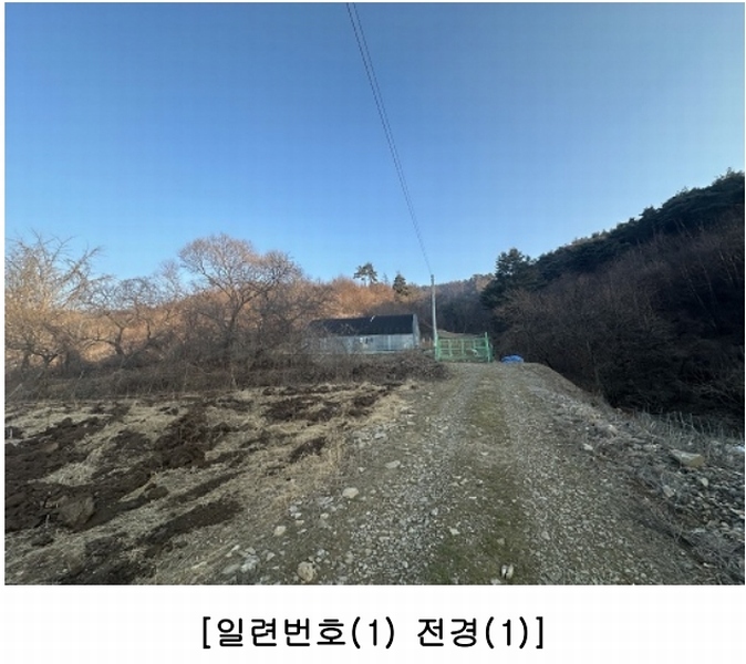 2025타경50141 충청북도 청주시 상당구 가덕면 금거리 산2 임야 경매 이미지