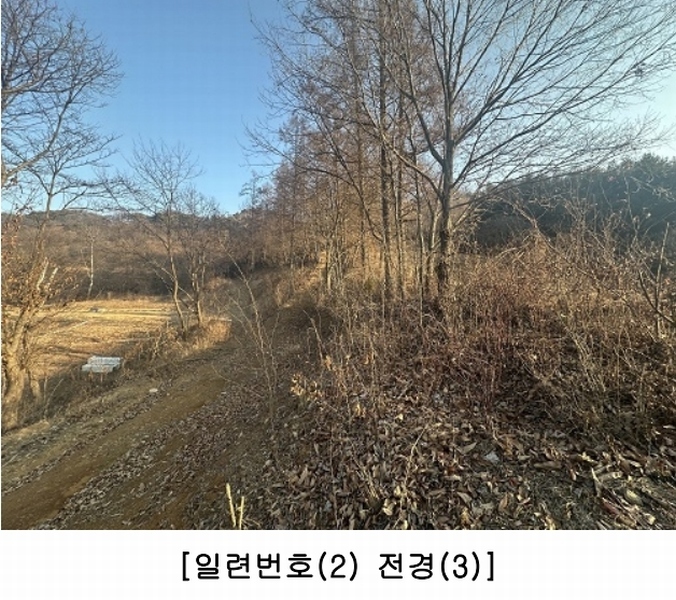 2025타경50141 충청북도 청주시 상당구 가덕면 금거리 산2 임야 경매 이미지