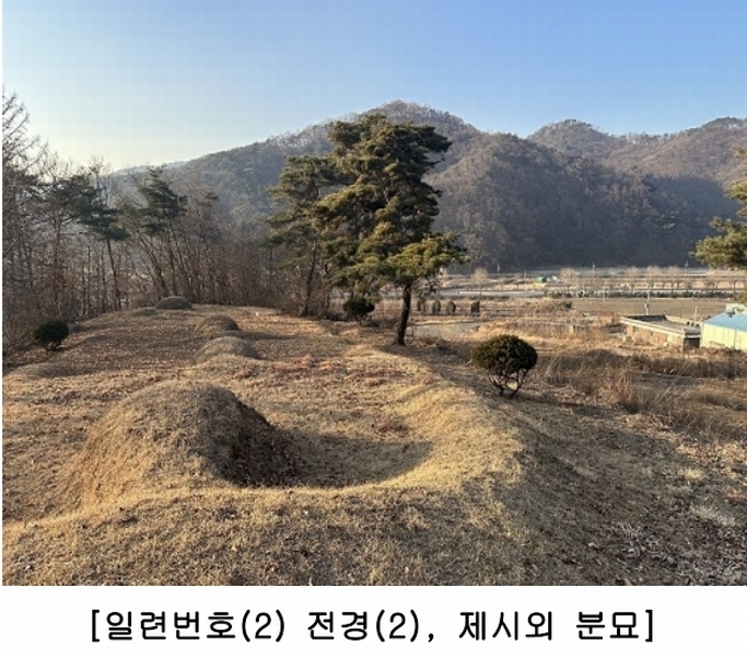 2025타경50141 충청북도 청주시 상당구 가덕면 금거리 산2 임야 경매 이미지