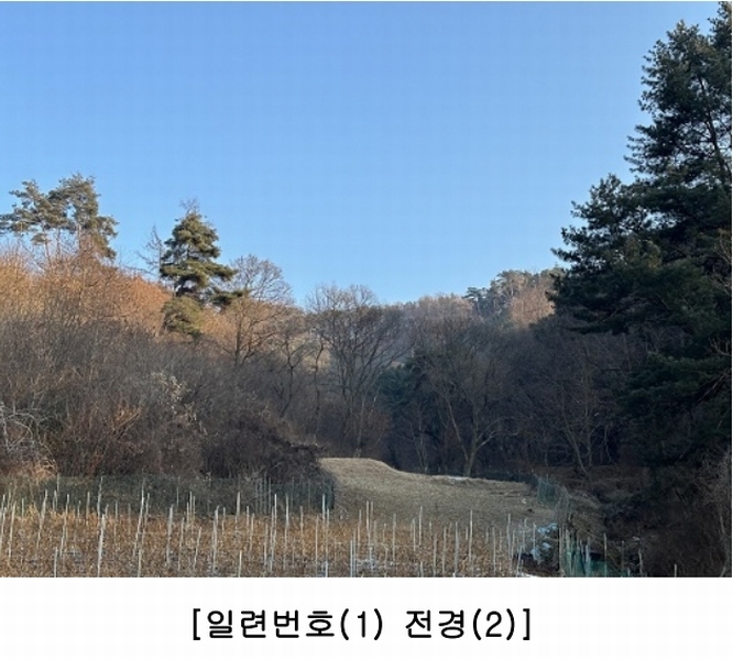2025타경50141 충청북도 청주시 상당구 가덕면 금거리 산2 임야 경매 이미지