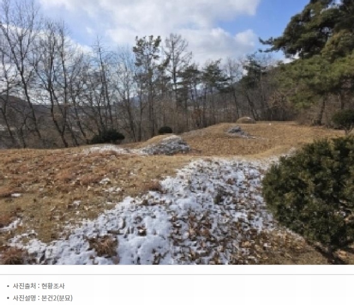 2025타경50141 충청북도 청주시 상당구 가덕면 금거리 산2 임야 경매 이미지