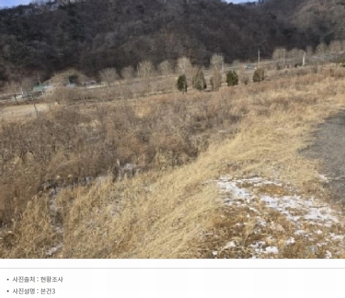 2025타경50141 충청북도 청주시 상당구 가덕면 금거리 산2 임야 경매 이미지