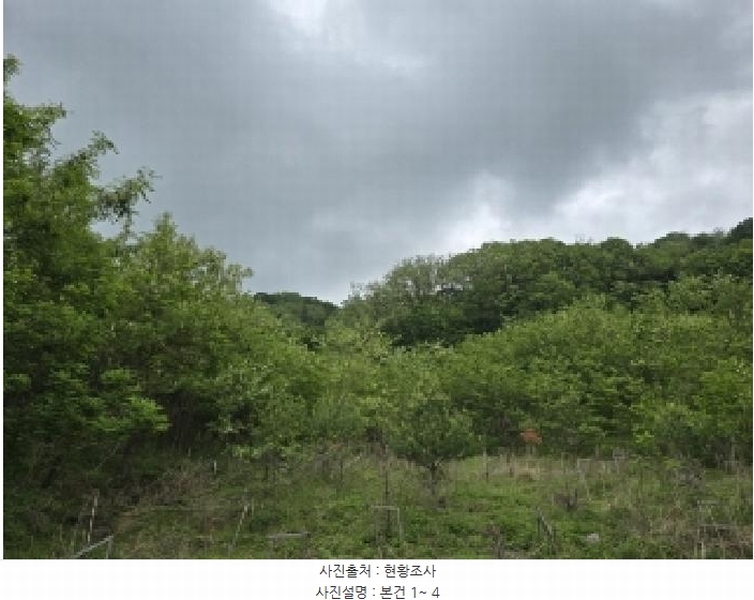 2025타경51191 충청북도 청주시 상당구 남일면 송암리 산77-33 임야 경매 이미지