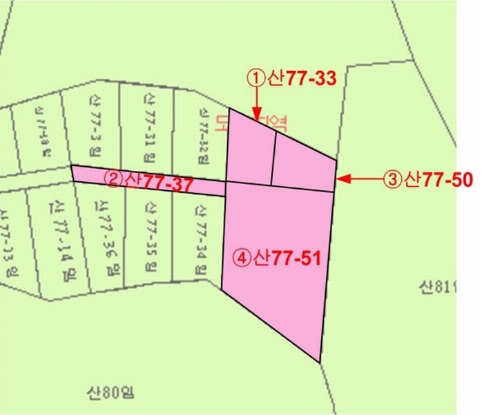 2025타경51191 충청북도 청주시 상당구 남일면 송암리 산77-33 임야 경매 이미지