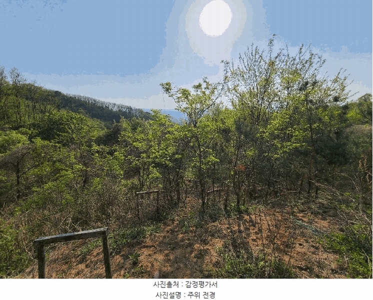 2025타경51191 충청북도 청주시 상당구 남일면 송암리 산77-33 임야 경매 이미지