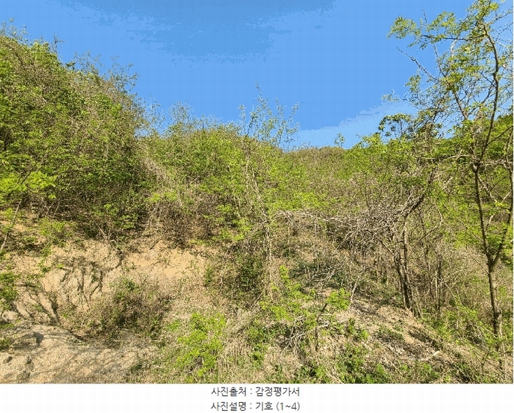 2025타경51191 충청북도 청주시 상당구 남일면 송암리 산77-33 임야 경매 이미지