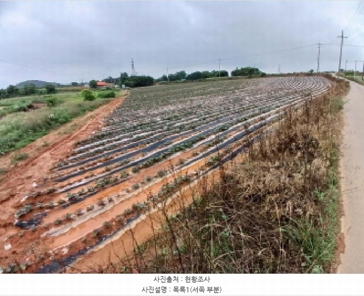 2025타경51418 충청남도 당진시 석문면 삼봉리 산235-19 임야 경매 이미지