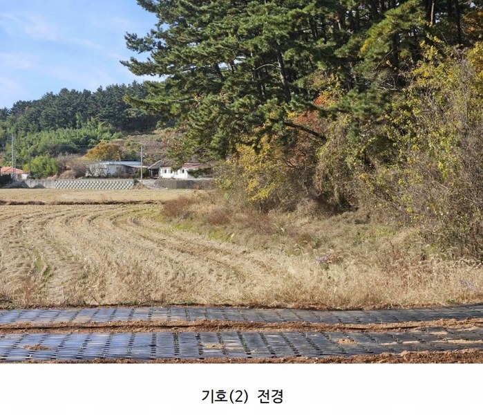 2025타경51506 충청남도 태안군 고남면 고남리 645 임야 경매 이미지