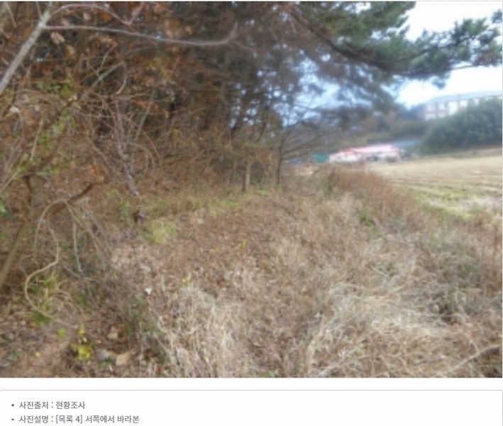 2025타경51506 충청남도 태안군 고남면 고남리 645 임야 경매 이미지