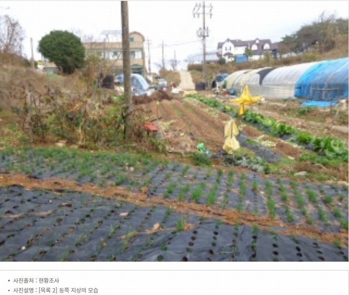 2025타경51506 충청남도 태안군 고남면 고남리 645 임야 경매 이미지