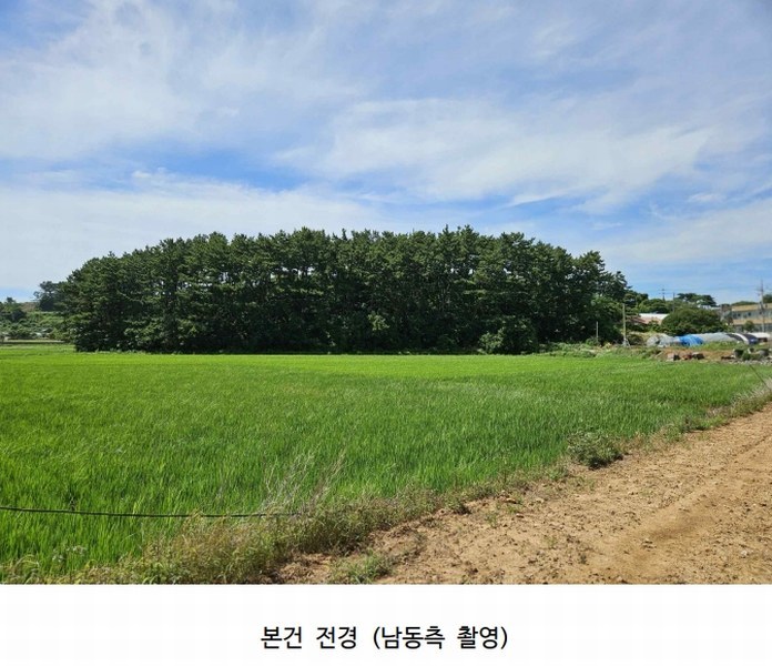 2025타경51506 충청남도 태안군 고남면 고남리 645 임야 경매 이미지