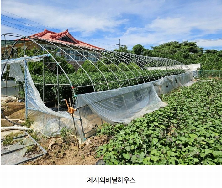 2025타경51506 충청남도 태안군 고남면 고남리 645 임야 경매 이미지