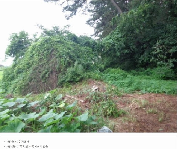 2025타경51506 충청남도 태안군 고남면 고남리 645 임야 경매 이미지