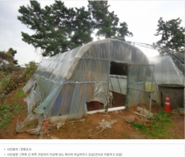 2025타경51506 충청남도 태안군 고남면 고남리 645 임야 경매 이미지