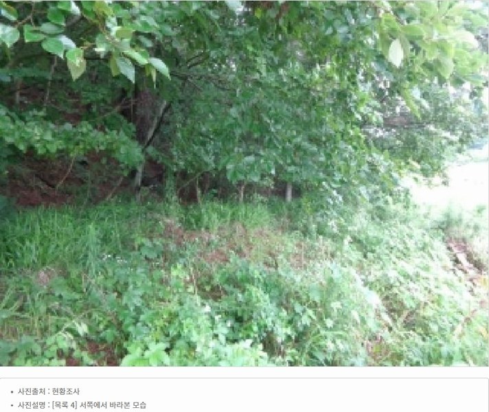 2025타경51506 충청남도 태안군 고남면 고남리 645 임야 경매 이미지
