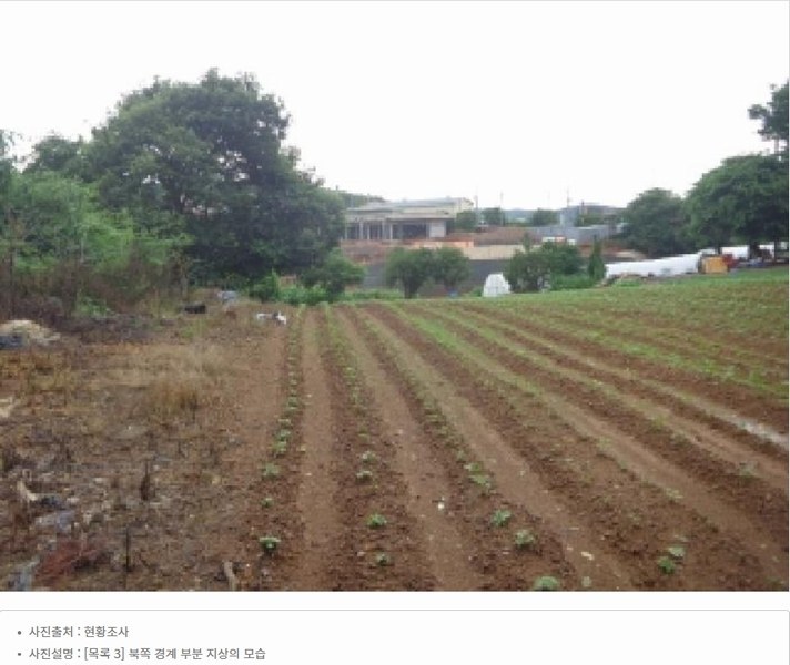 2025타경51506 충청남도 태안군 고남면 고남리 645 임야 경매 이미지