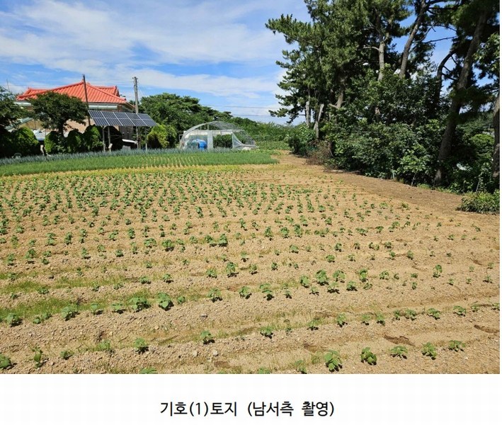 2025타경51506 충청남도 태안군 고남면 고남리 645 임야 경매 이미지