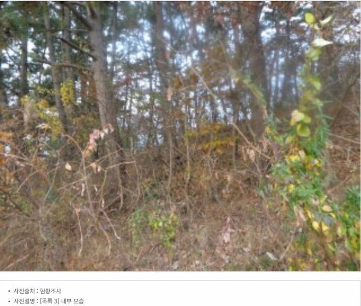 2025타경51506 충청남도 태안군 고남면 고남리 645 임야 경매 이미지