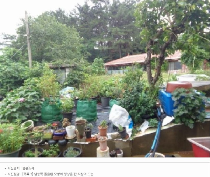 2025타경51506 충청남도 태안군 고남면 고남리 645 임야 경매 이미지