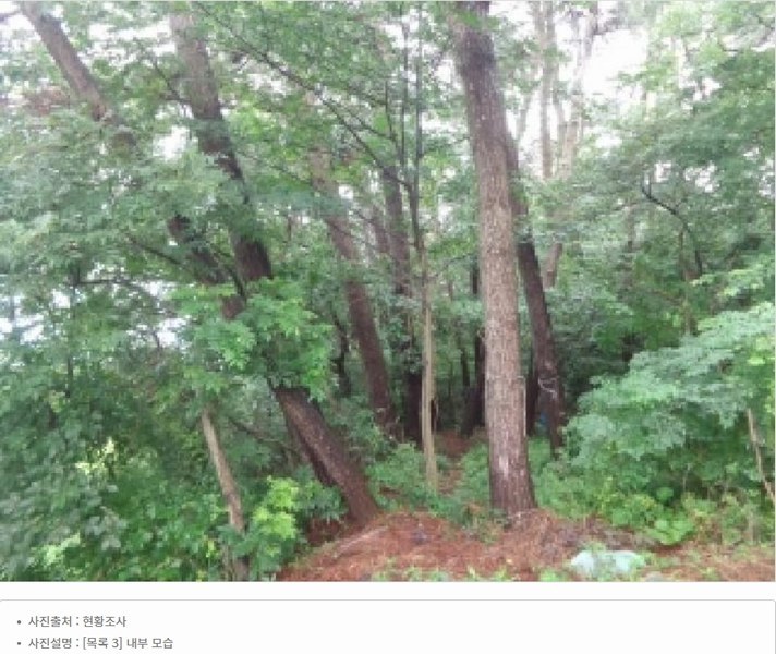 2025타경51506 충청남도 태안군 고남면 고남리 645 임야 경매 이미지