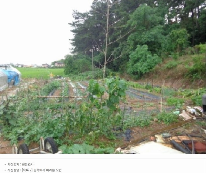 2025타경51506 충청남도 태안군 고남면 고남리 645 임야 경매 이미지