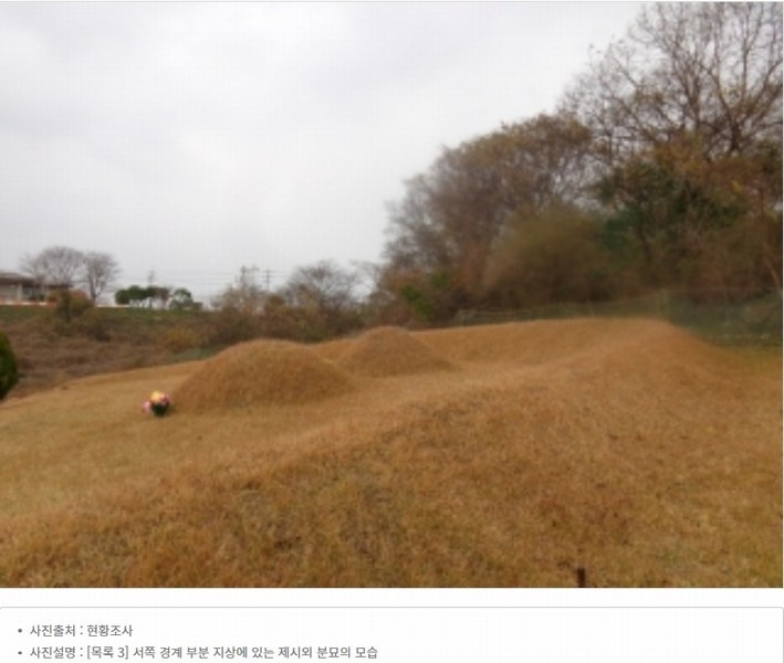 2025타경51506 충청남도 태안군 고남면 고남리 645 임야 경매 이미지