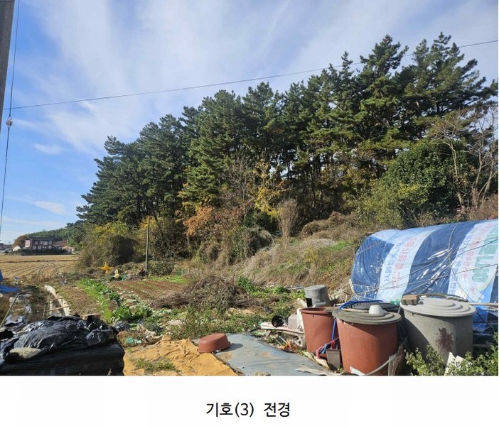 2025타경51506 충청남도 태안군 고남면 고남리 645 임야 경매 이미지