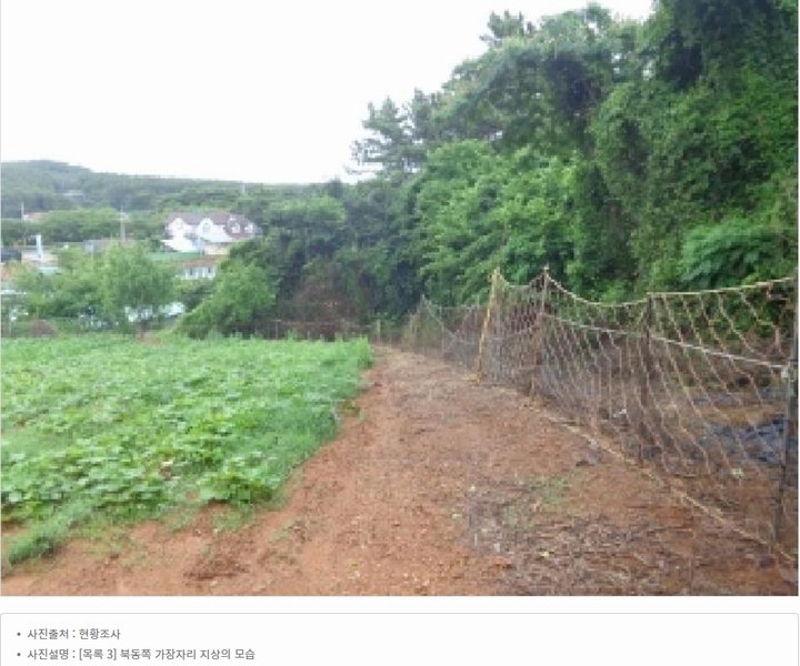 2025타경51506 충청남도 태안군 고남면 고남리 645 임야 경매 이미지